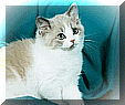Aladdin_12-98.gif (10079 bytes)