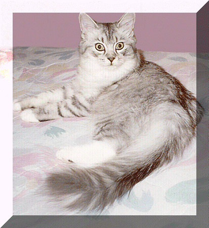 emily2.gif (152732 bytes)
