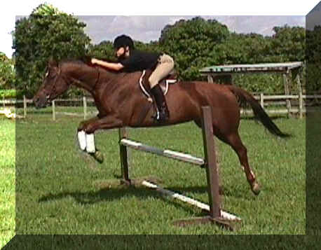 bobbi5.jpg (60188 bytes)