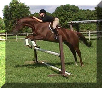 bobbi6.jpg (55461 bytes)