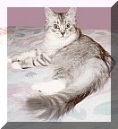 emily.gif (19079 bytes)