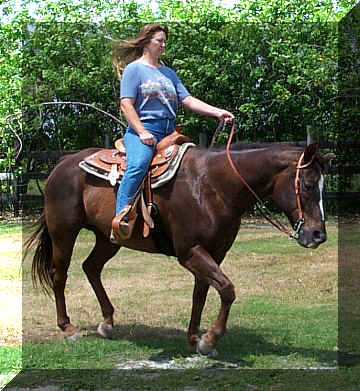 katie16.jpg (76531 bytes)