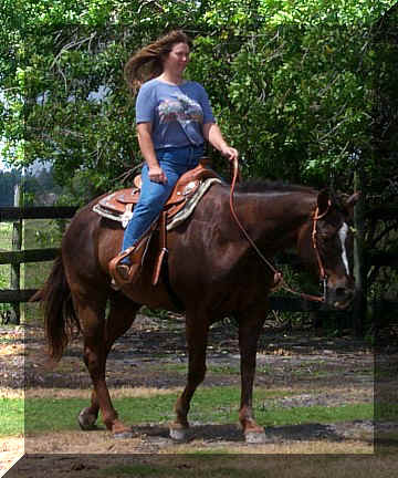 katie17.jpg (74781 bytes)