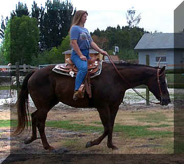 katie22.jpg (46144 bytes)